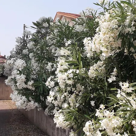 Residence Elite Aviano